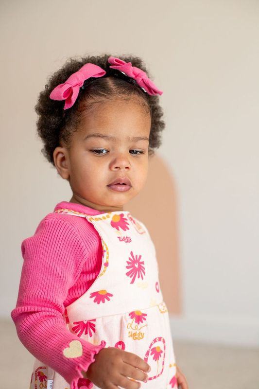 BOWS | RASPBERRY
