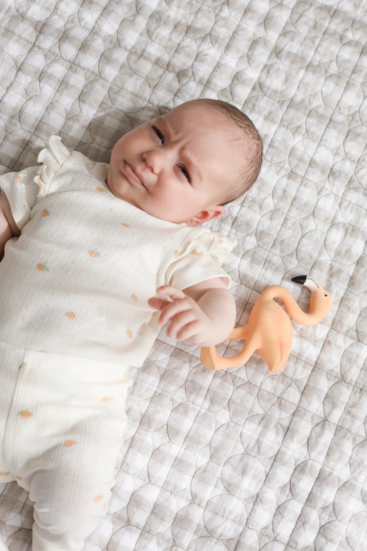 TEETHER | LINGO THE FLAMINGO