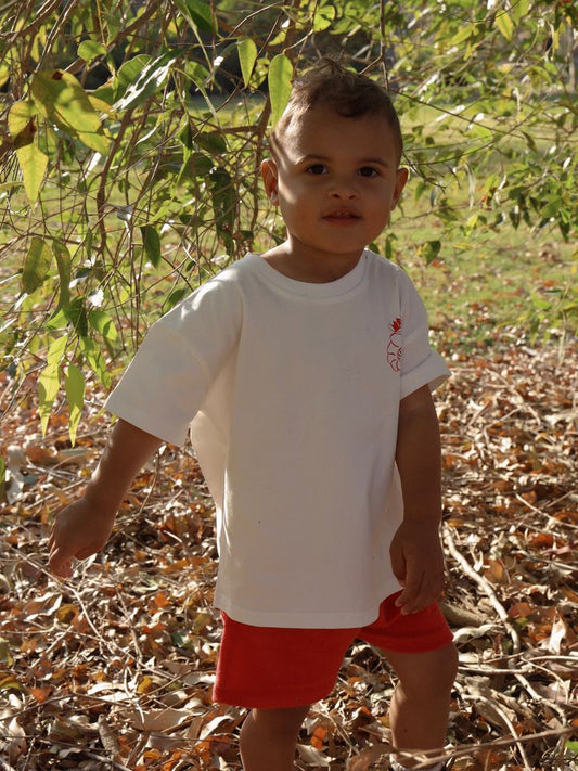 SHORTS | SHAWN THE PRAWN